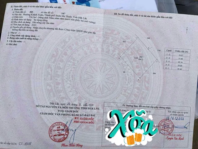 Bất động sản tại Đắk Lắk - ảnh 1