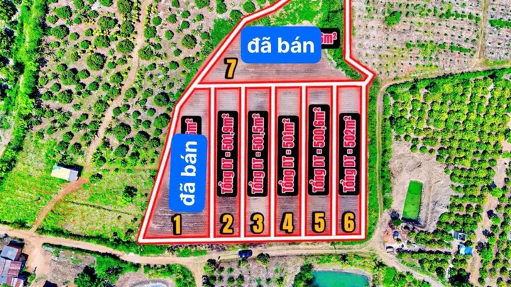 Bất động sản tại Đắk Lắk - ảnh 1