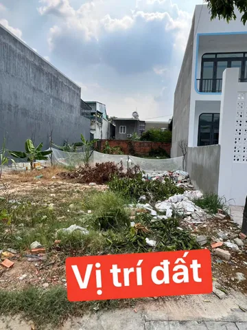 Bất động sản tại Bình Dương - ảnh 1