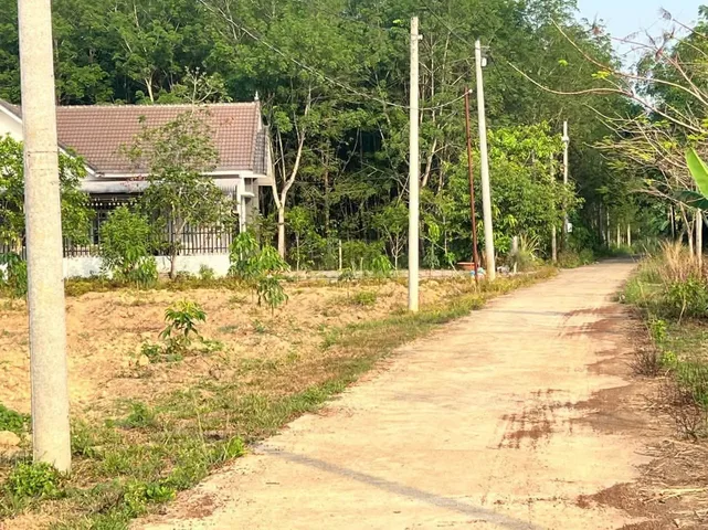 Bất động sản tại Đồng Nai - ảnh 1