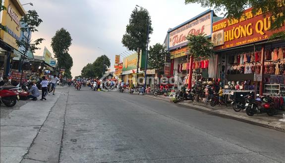 Bất động sản tại Bình Dương - ảnh 1