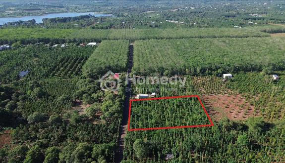 Bất động sản tại Bà Rịa - Vũng Tàu - ảnh 1
