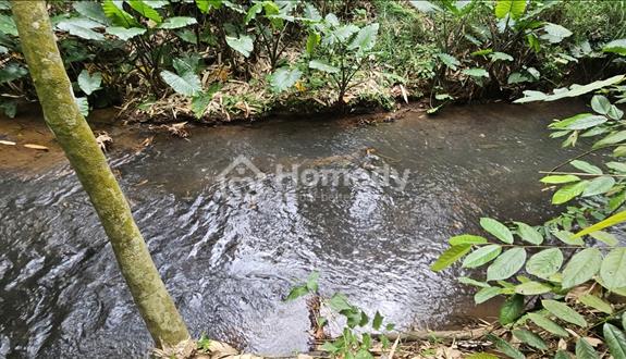 Bất động sản tại Bà Rịa - Vũng Tàu - ảnh 1