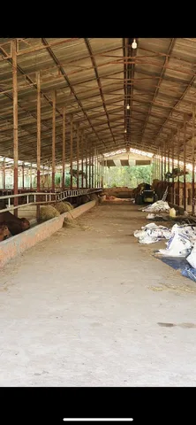 Bất động sản tại Đồng Nai - ảnh 1