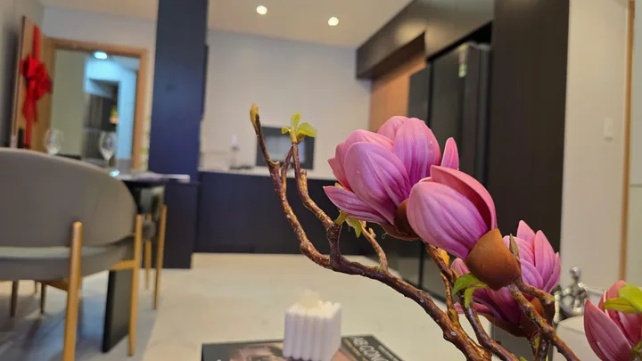 Bất động sản tại Tây Ninh - ảnh 1
