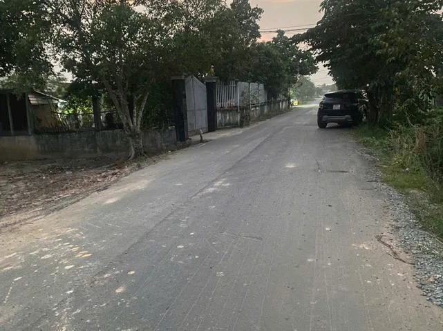 Bất động sản tại Long An - ảnh 1
