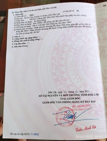 Bất động sản tại Đắk Lắk - ảnh 1