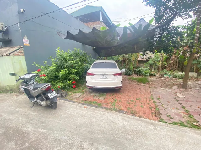 Bất động sản tại Phú Thọ - ảnh 1