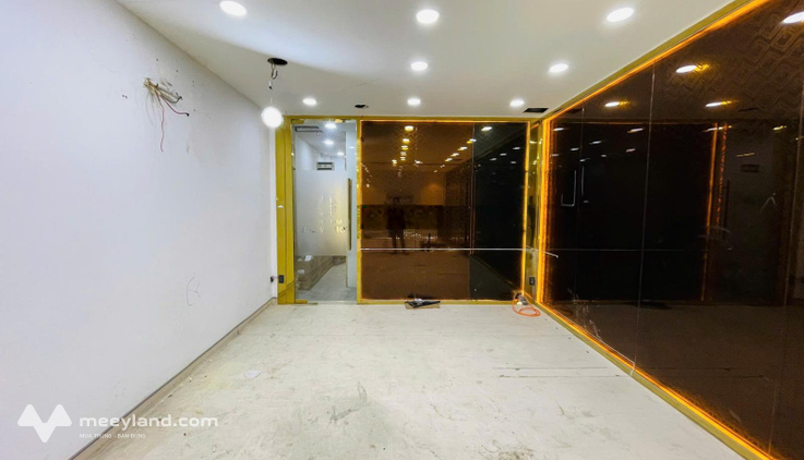 Bất động sản tại TP. Hồ Chí Minh - ảnh 1