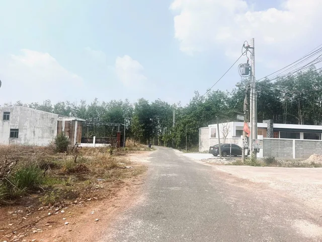 Bất động sản tại Đồng Nai - ảnh 1