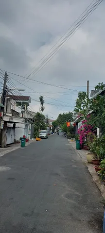 Bất động sản tại Bình Dương - ảnh 1