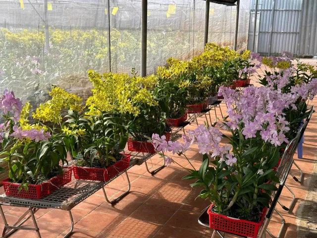 Bất động sản tại TP. Hồ Chí Minh - ảnh 1