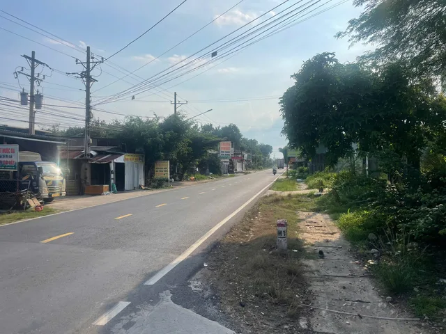 Bất động sản tại Bình Dương - ảnh 1