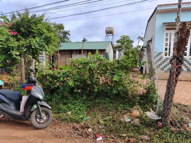 Bất động sản tại Đắk Lắk - ảnh 1