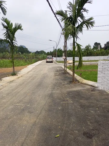 Bất động sản tại Phú Thọ - ảnh 1