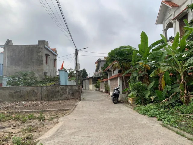 Bất động sản tại Hải Phòng - ảnh 1