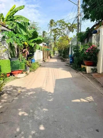 Bất động sản tại Bình Dương - ảnh 1