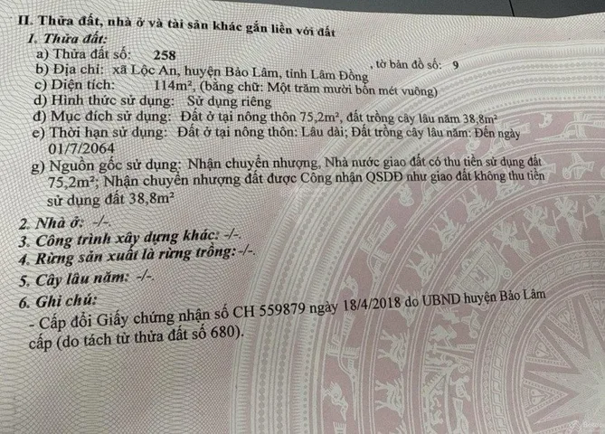 Bất động sản tại Lâm Đồng - ảnh 1