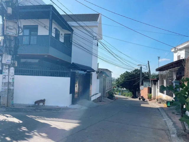 Bất động sản tại Đắk Lắk - ảnh 1