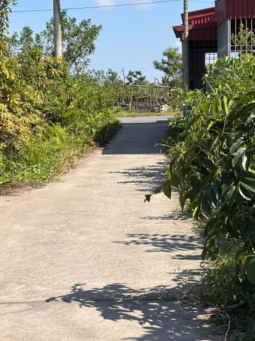 Bất động sản tại Hải Phòng - ảnh 1