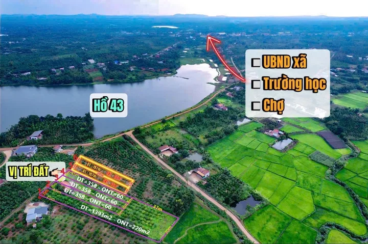 Bất động sản tại Đắk Lắk - ảnh 1