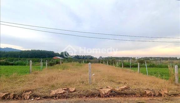 Bất động sản tại Tây Ninh - ảnh 1