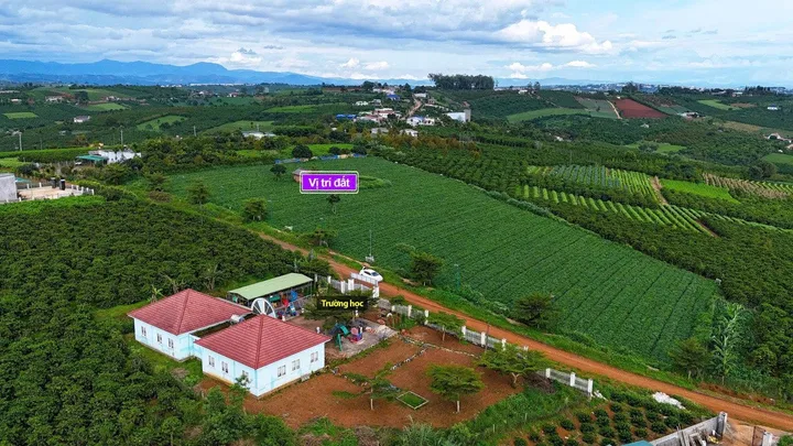 Bất động sản tại Lâm Đồng - ảnh 1