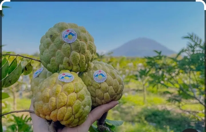 Bất động sản tại Tây Ninh - ảnh 1