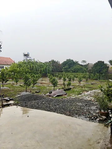Bất động sản tại Đồng Nai - ảnh 1