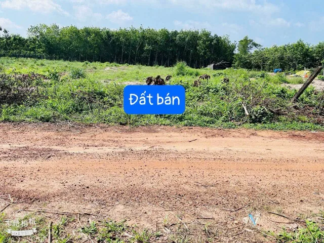 Bất động sản tại Bình Dương - ảnh 1