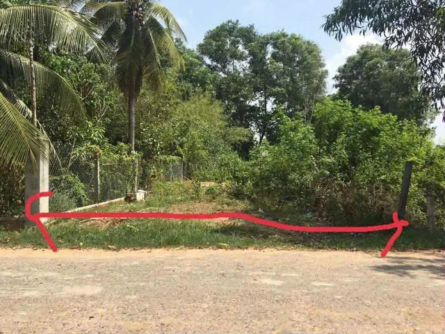 Bất động sản tại Tây Ninh - ảnh 1