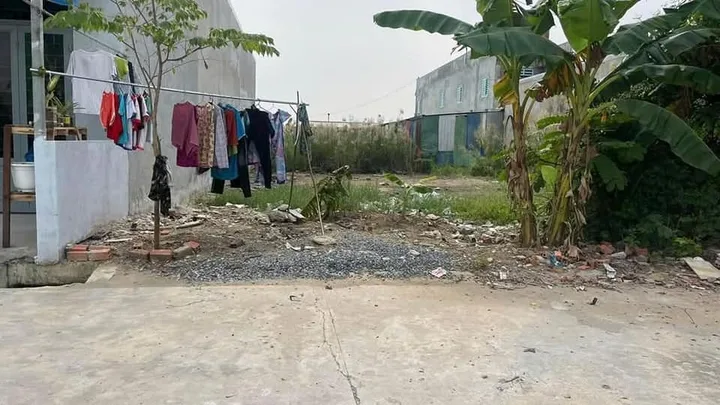 Bất động sản tại Long An - ảnh 1