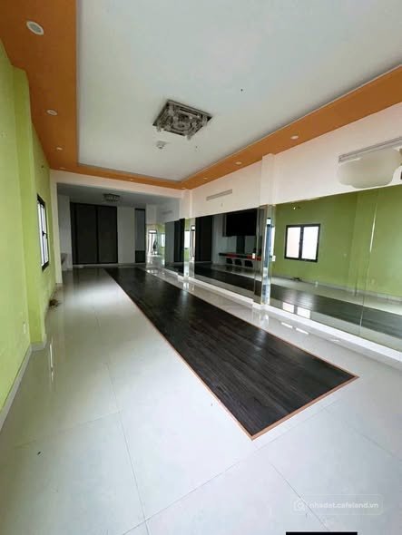 Bất động sản tại Đà Nẵng - ảnh 1