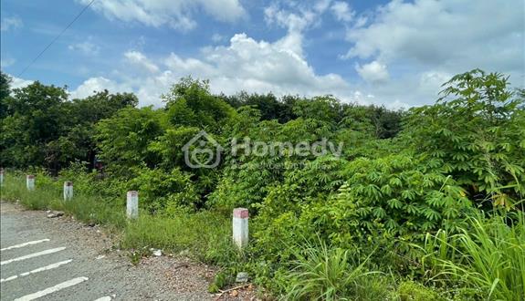 Bất động sản tại Bình Dương - ảnh 1