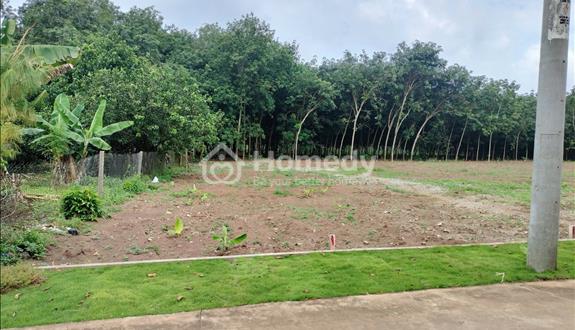 Bất động sản tại Bình Dương - ảnh 1