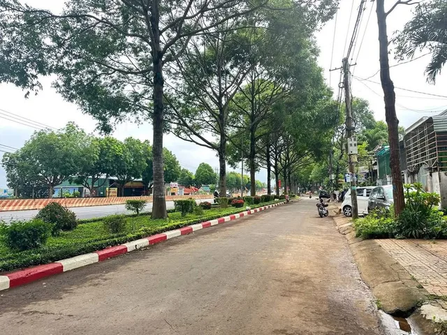 Bất động sản tại Đắk Lắk - ảnh 1