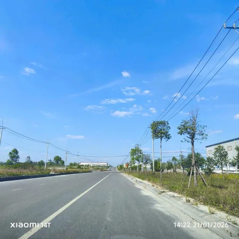 Bất động sản tại Bình Dương - ảnh 1