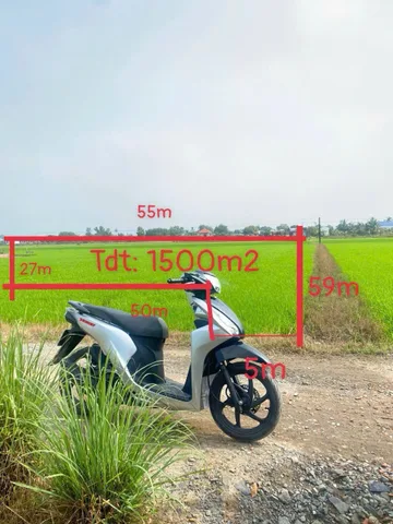 Bất động sản tại Tây Ninh - ảnh 1
