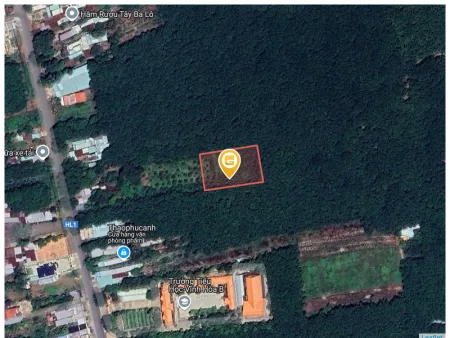 Bất động sản tại Bình Dương - ảnh 1