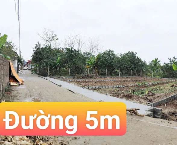 Bất động sản tại Hưng Yên - ảnh 1