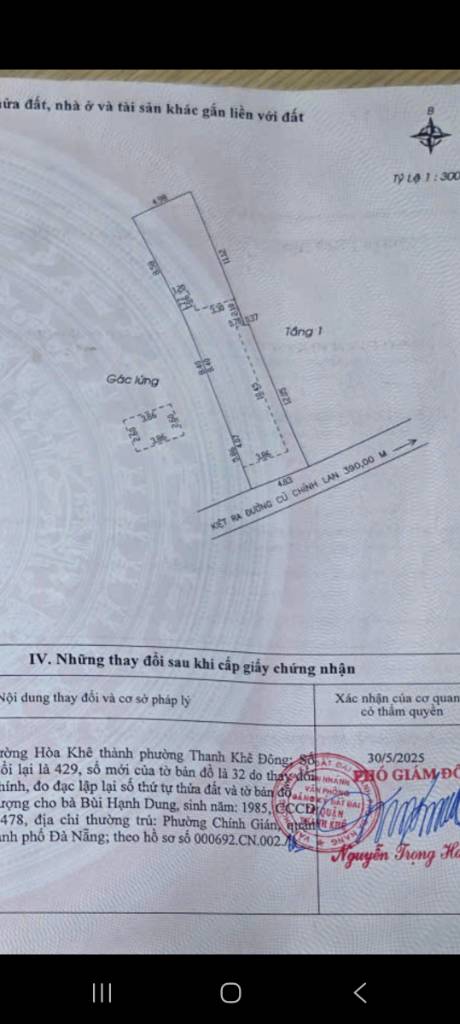 Bất động sản tại Đà Nẵng - ảnh 1