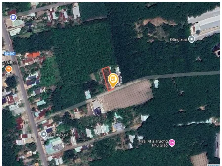 Bất động sản tại Bình Dương - ảnh 1
