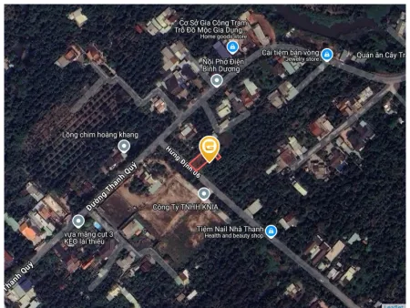 Bất động sản tại Bình Dương - ảnh 1