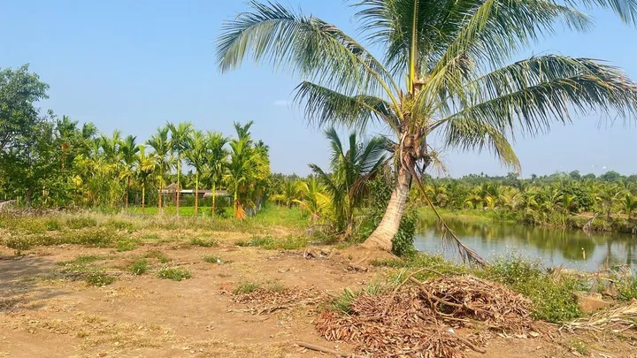 Bất động sản tại Đắk Lắk - ảnh 1