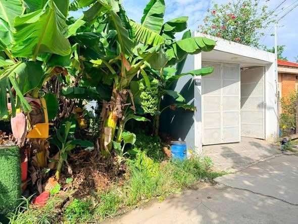 Bất động sản tại Bình Dương - ảnh 1
