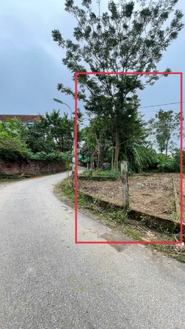 Bất động sản tại Phú Thọ - ảnh 1