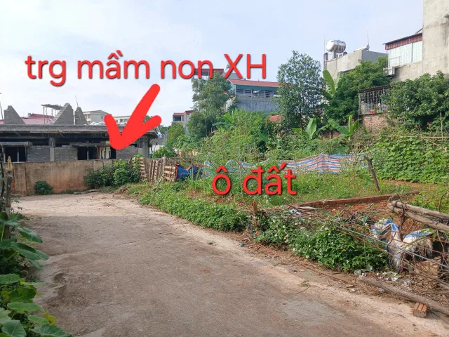 Bất động sản tại Phú Thọ - ảnh 1