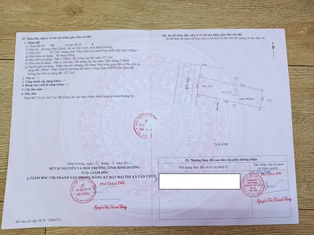 Bất động sản tại Bình Dương - ảnh 1