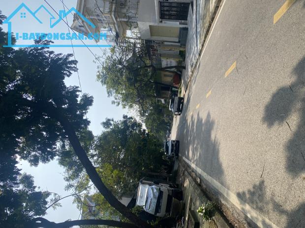 Bất động sản tại Đà Nẵng - ảnh 1