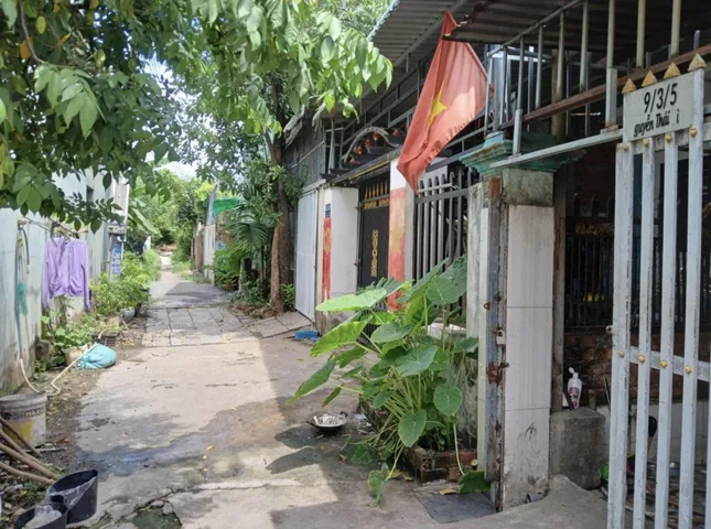 Bất động sản tại Bình Dương - ảnh 1